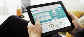 Profweb article box