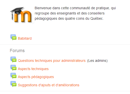 Une capture écran de la page d’accueil du nouvel espace abritant la communauté de pratique sur Moodle du réseau collégial