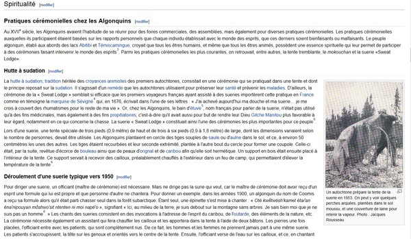 Page Wikipédia utilisée dans le cours