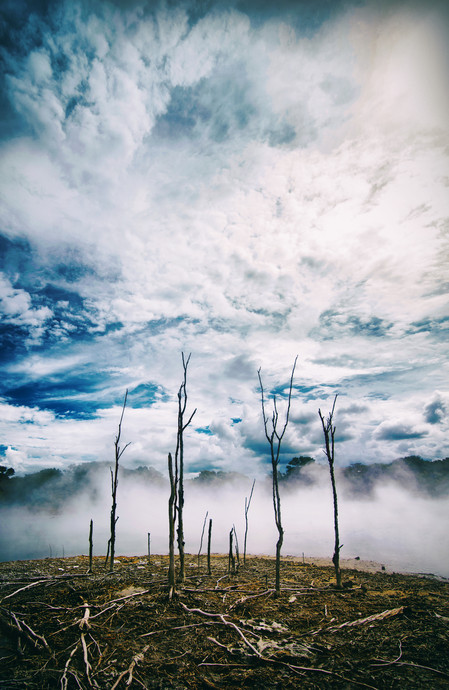 Contraste, photo d'Audrey-Ann Brunelle