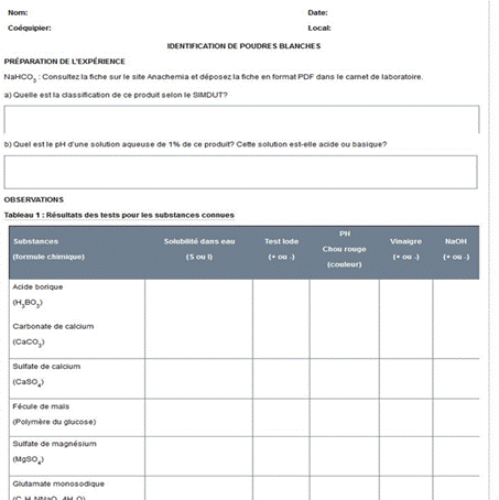 exemple de vision d'entreprise informatique   37