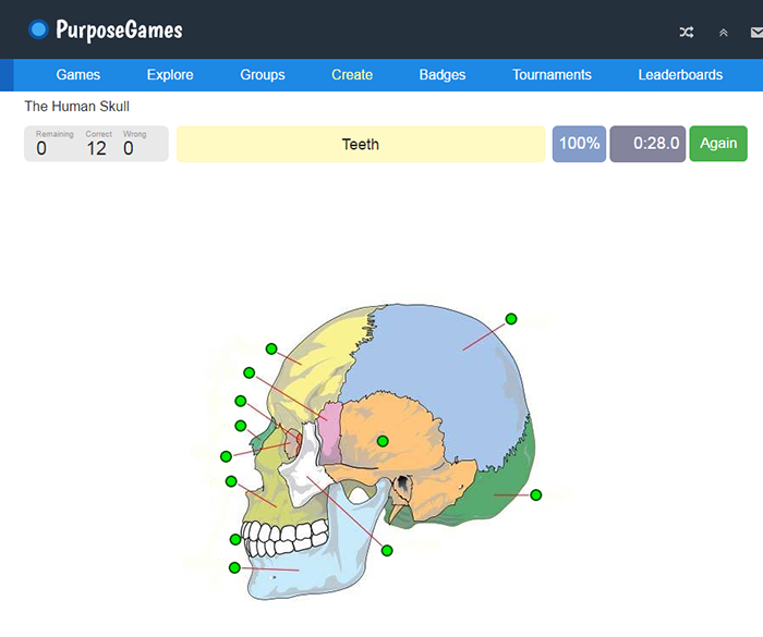 Screenshot from the website showing the anatomy of a skull
