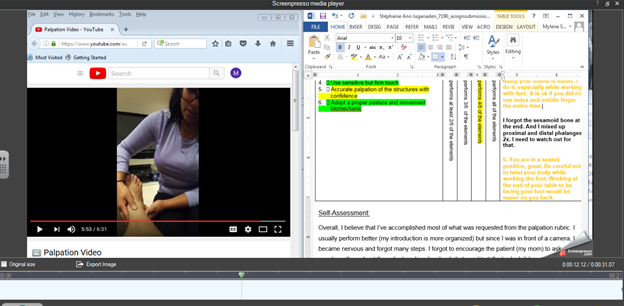 Screenshot of Screenpresso interface: view of the video and the teacher's comments side by side.