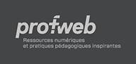 Logo profweb 2014 nb