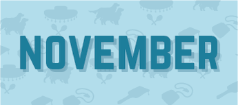 Concours november