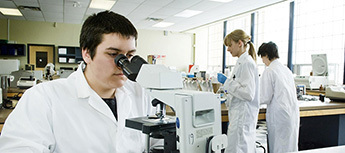 Microscope vignette
