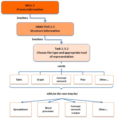 Skill 2: Process information - Structure information - Choose the type and appropriate tool of representation